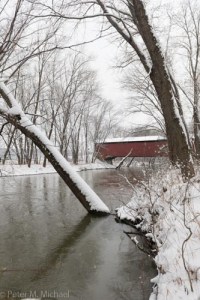 snowy trees and bridge